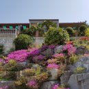 주작골주차장 이미지