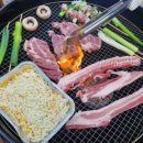 로드 207 이미지