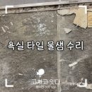 세븐일레븐 부평산곡우성점 | 욕실 타일 밟으면 물샘 수리, 원인과 철거후 교체 방법 안내