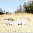 화순 예산사 이미지