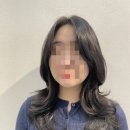 구파발미용실 보그헤어은평뉴타운점 수철디자이너 여자 레이어드펌 후기