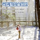 강원도 횡성군 횡성읍 태기로 이미지