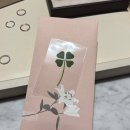 라피네다이아