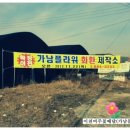 여주-0203 이미지