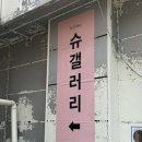 슈갤러리 이미지