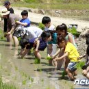 따오기품은 세진마을 이미지