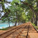 수평선민박 이미지