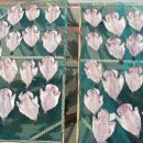 흑산홍어 Daum카페