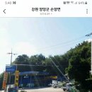 강릉농협주유소 이미지
