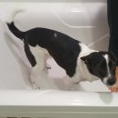 (주)슬록 이미지