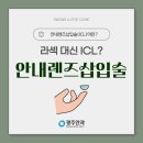 고도근시, 각막 얇음에도 OK! 안내렌즈삽입술 소개😎 이미지