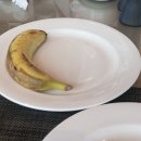 바이모모