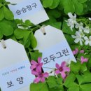 신명카서비스 이미지