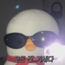 이그니스