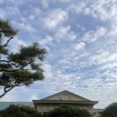 라운딩 | 세일cc 11월말 라운딩 후기 &amp; 여자 골프복 코디