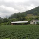 덕우민박 이미지