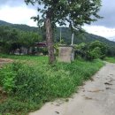 홍북읍 동막마을회관 이미지