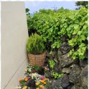 성산일출봉민박 이미지