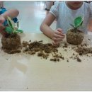 롯데마트 상당점 문화센터 토피어리 화분만들기 이벤트 이미지