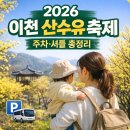 반곡1리 | 이천 산수유 축제 2026｜개화 80%·주차·셔틀·일정+아이랑 동선·