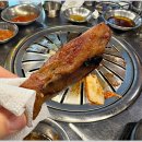 강남 갈매기