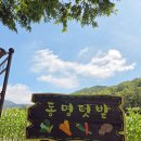 동명어린이집 이미지