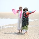 풀등이야기 이미지