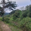 개울옆길 이미지