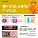 윤토마