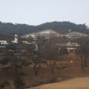 청풍오리 이미지