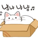 펫밀리레스토랑 이미지