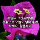 항상 기뻐하라 이미지