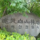 원미산산림욕장 네이버블로그