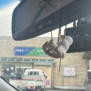 강화도단체숙소 / 강화도애견동반펜션 설탕이네 내돈내산 후기 [ 설탕이네 ]
