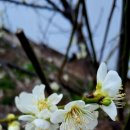 서울대학교 경영전문대학원 이미지