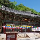 중흥사