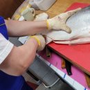 해담참치 이미지