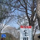 솔밭공원 티스토리