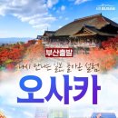 한국인이 사랑하는 대표 일본여행지,안가본사람은 있어도 한번만 간 사람은 없다는~관광.쇼핑 . 온천욕까지 모두 가능한 도시 오사카 이미지