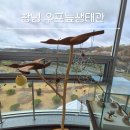우포의 숲속 | 창녕 가볼만한곳 우포늪생태관 조용한 힐링 여행 후기