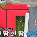 장성골 이미지