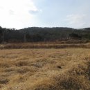 포항시북구52 이미지