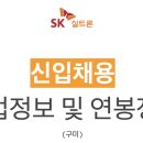 에스케이실트론주식회사(1) 티스토리