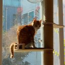 UR(파주시)-[소리천로]-하-5 | 시네의 주간 일기, 10-5