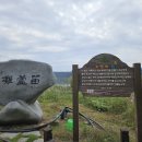 전남 무안 몽탄 식영정 코스모스 명소
