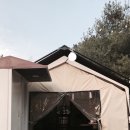숲속당구 이미지