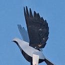 희망체육공원 족구장 | 중앙공원(아산 둔포 테크노밸리 중앙공원)~ 운동,산책,휴식,힐링의 터전~