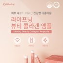 인셀덤 뷰티라이프