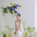 제이플로우 이미지