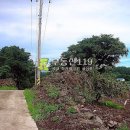 상가리농장 이미지